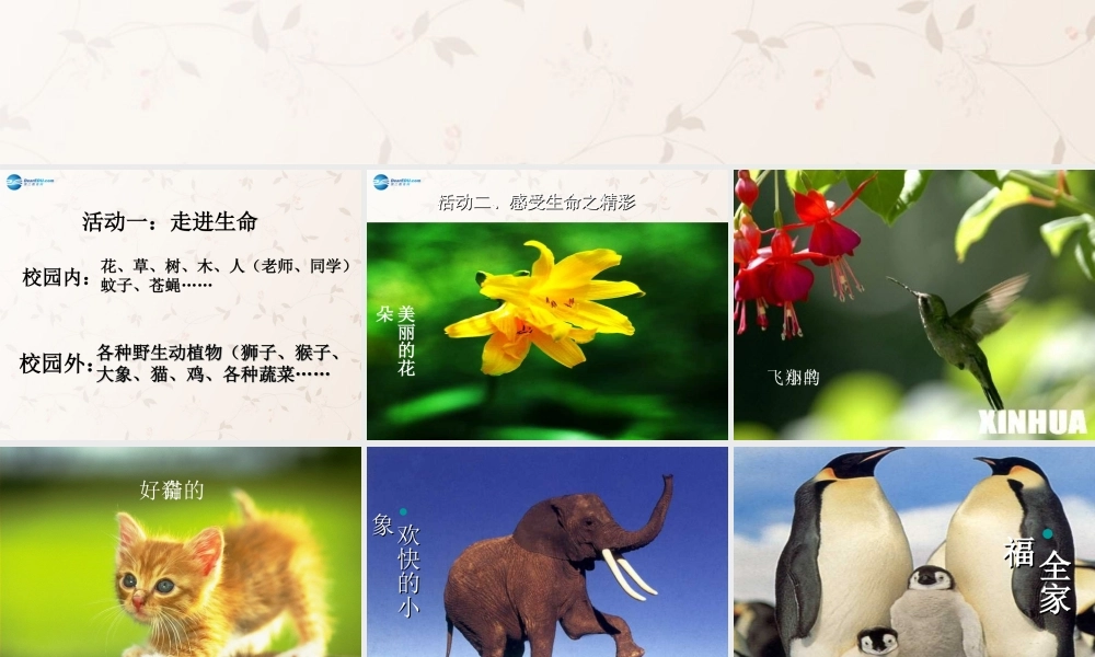 中学七年级政治上册 3.1 世界因生命而精彩课件 新人教版