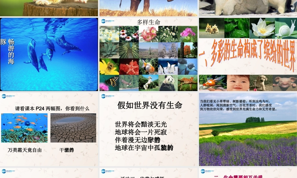 中学七年级政治上册 3.1 世界因生命而精彩课件 新人教版