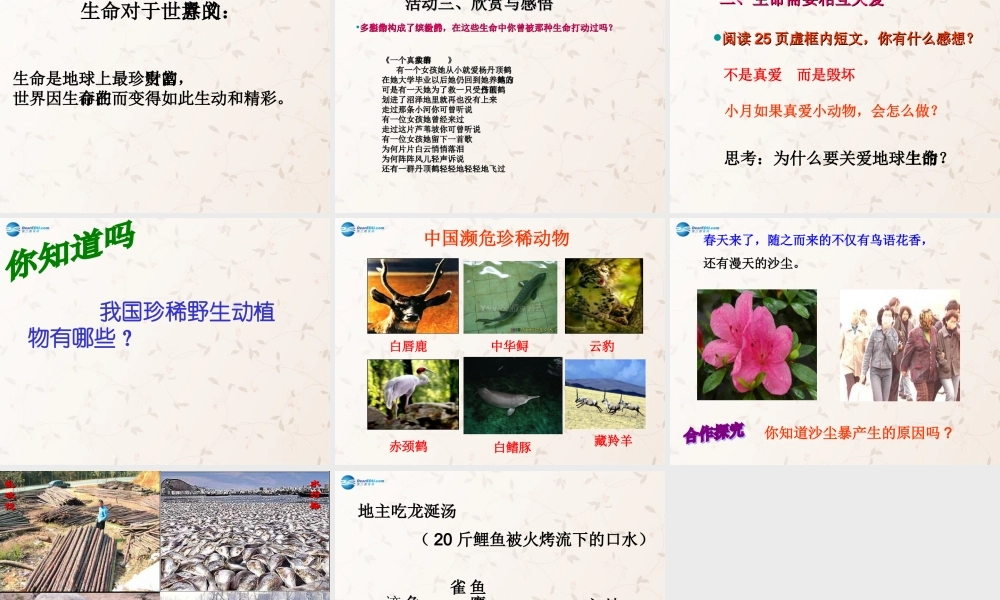 中学七年级政治上册 3.1 世界因生命而精彩课件 新人教版