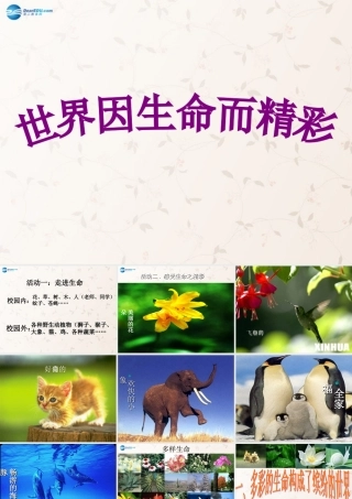中学七年级政治上册 3.1 世界因生命而精彩课件 新人教版