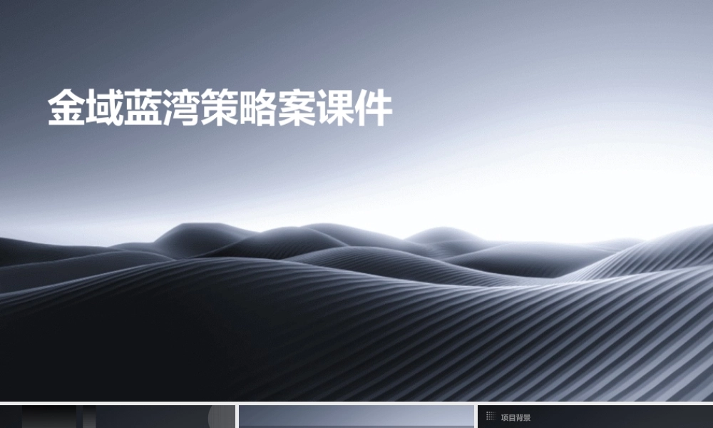 金域蓝湾策略案课件