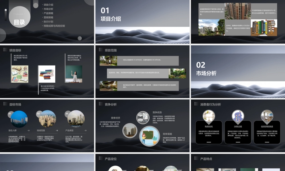 金域蓝湾策略案课件