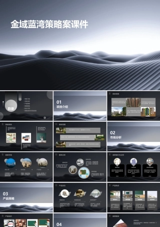 金域蓝湾策略案课件