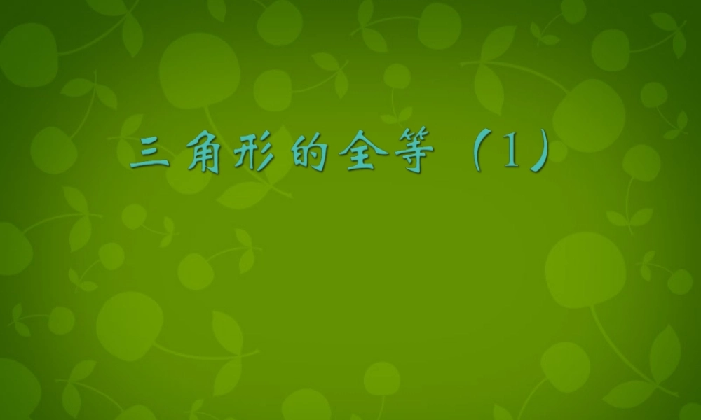 中学八年级数学上册 11.1 全等三角形课件1 新人教版 课件