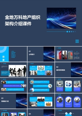 金地万科地产组织架构介绍课件