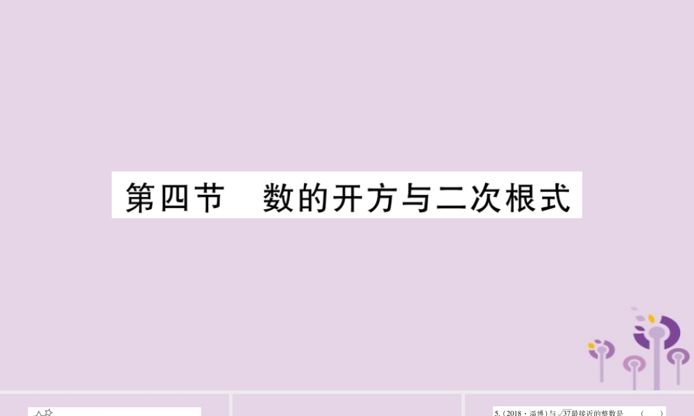 中考数学复习 第一轮 考点系统复习 第1章 数与式 第4节 数的开方与二次根式习题课件