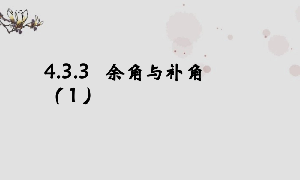 广东省珠海市七年级数学上册 余角和补角课件1 新人教版 课件
