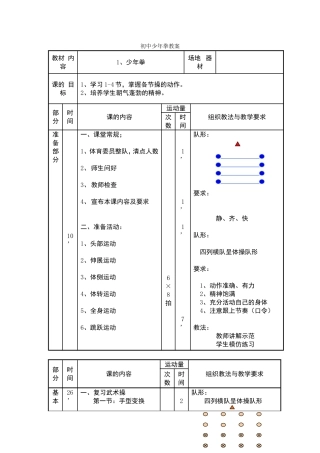 初中少年拳教案