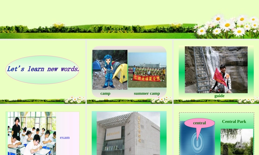 中学七年级英语下册(Unit 10 Where did you go on vacation)Section A课件 人教新目标版 课件