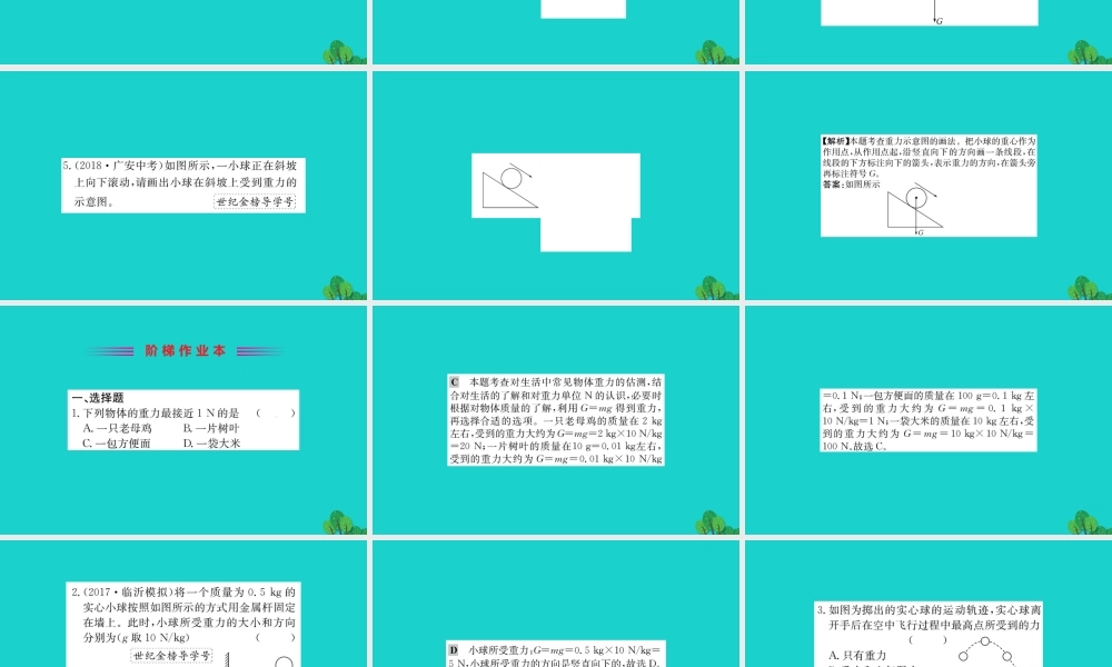 八年级物理下册 7.3 重力习题课件 (新版)新人教版 课件