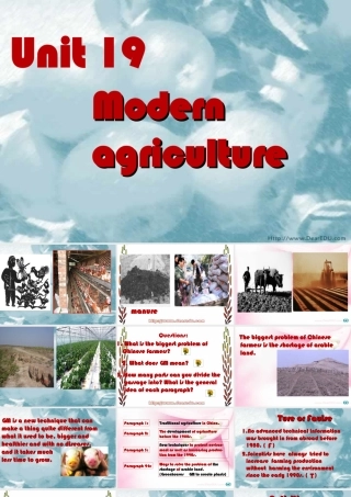 人教版高一英语下册Unit19 Modern agriculture 课件