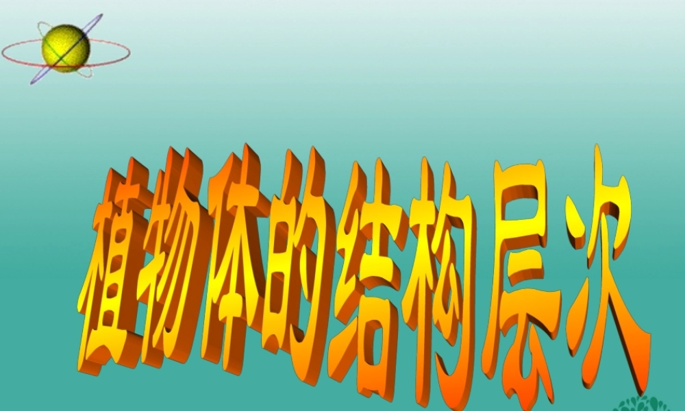 七年级生物上册 第二单元 第二章 第三节 植物体的结构层次课件4 (新版)新人教版 课件