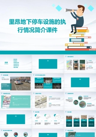 里昂地下停车设施的执行情况简介课件
