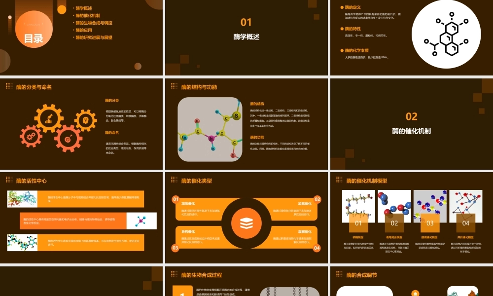 酶学概论分析课件