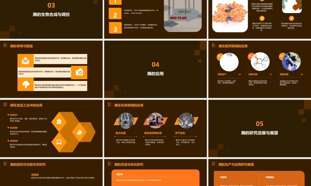 酶学概论分析课件