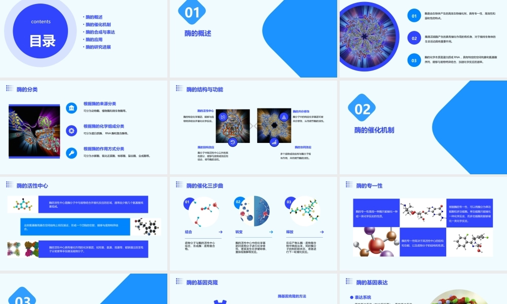 酶学基础资料课件