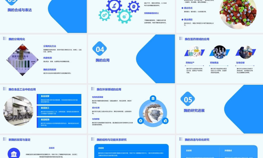 酶学基础资料课件