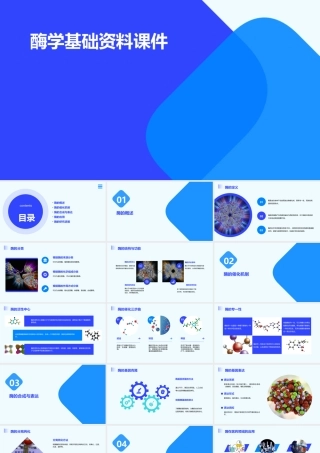 酶学基础资料课件