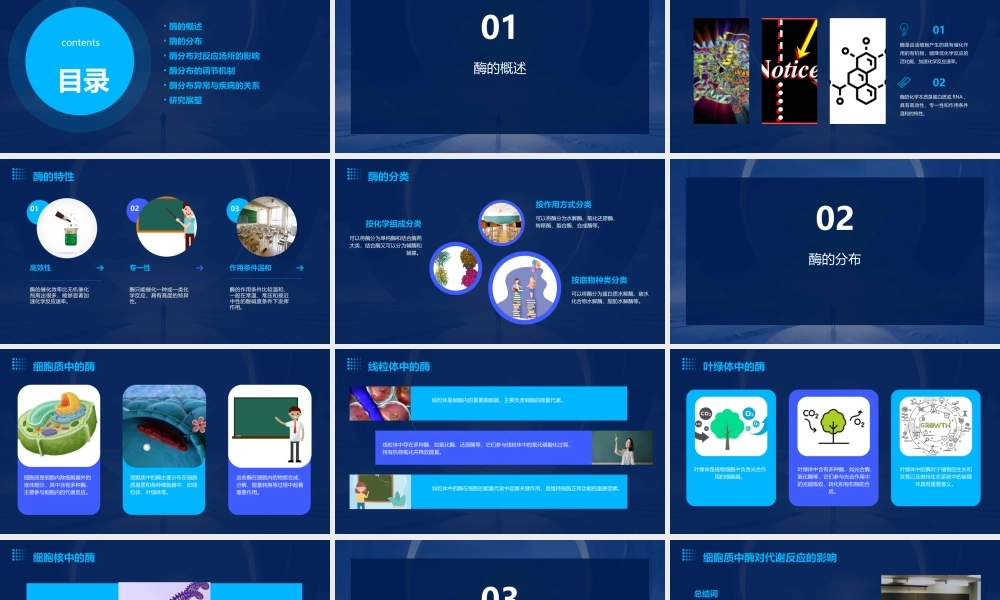 酶分布决定反应场所课件