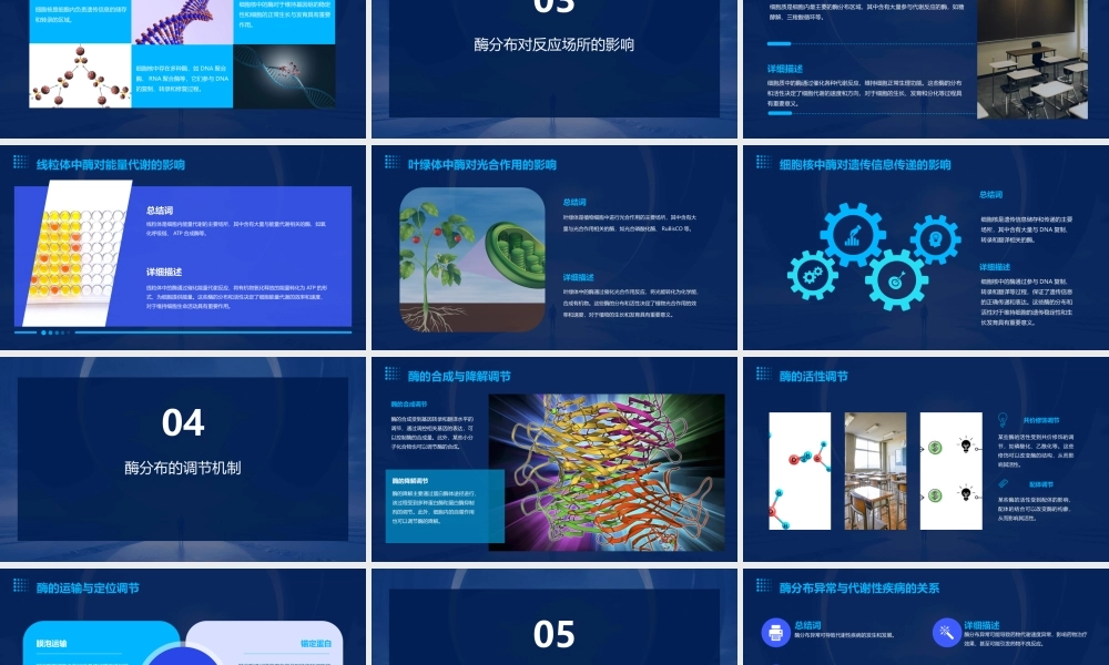 酶分布决定反应场所课件