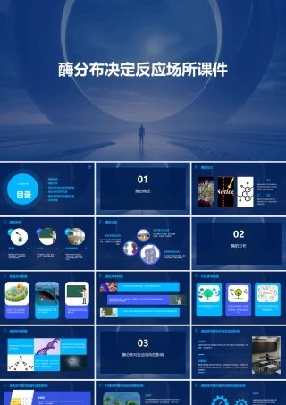 酶分布决定反应场所课件
