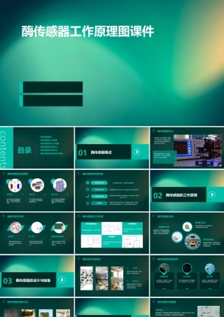 酶传感器工作原理图课件