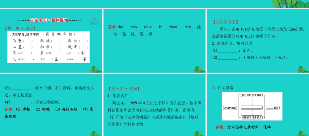 八年级语文下册 第二单元 8 时间的脚印习题课件 新人教版 课件