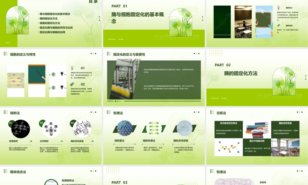 酶与细胞的固定化课件