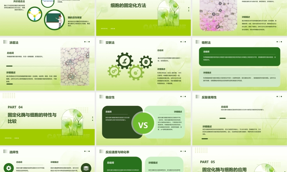 酶与细胞的固定化课件