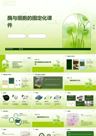 酶与细胞的固定化课件