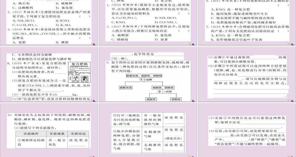 中考化学总复习 第一轮复习 系统梳理 夯基固本 第24讲 化学肥料练习课件