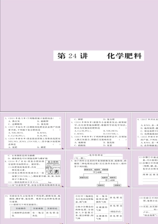 中考化学总复习 第一轮复习 系统梳理 夯基固本 第24讲 化学肥料练习课件