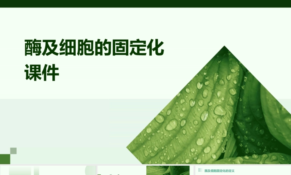 酶及细胞的固定化课件