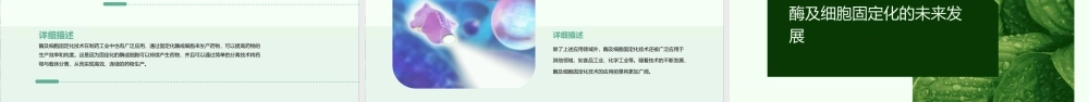 酶及细胞的固定化课件