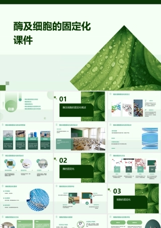 酶及细胞的固定化课件