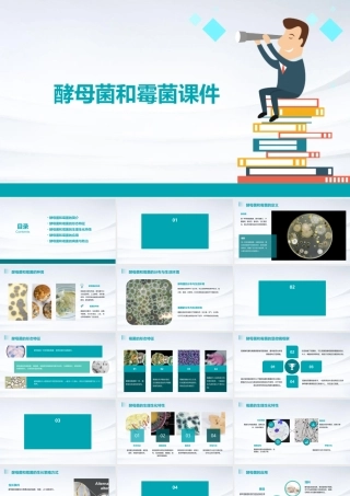 酵母菌和霉菌课件