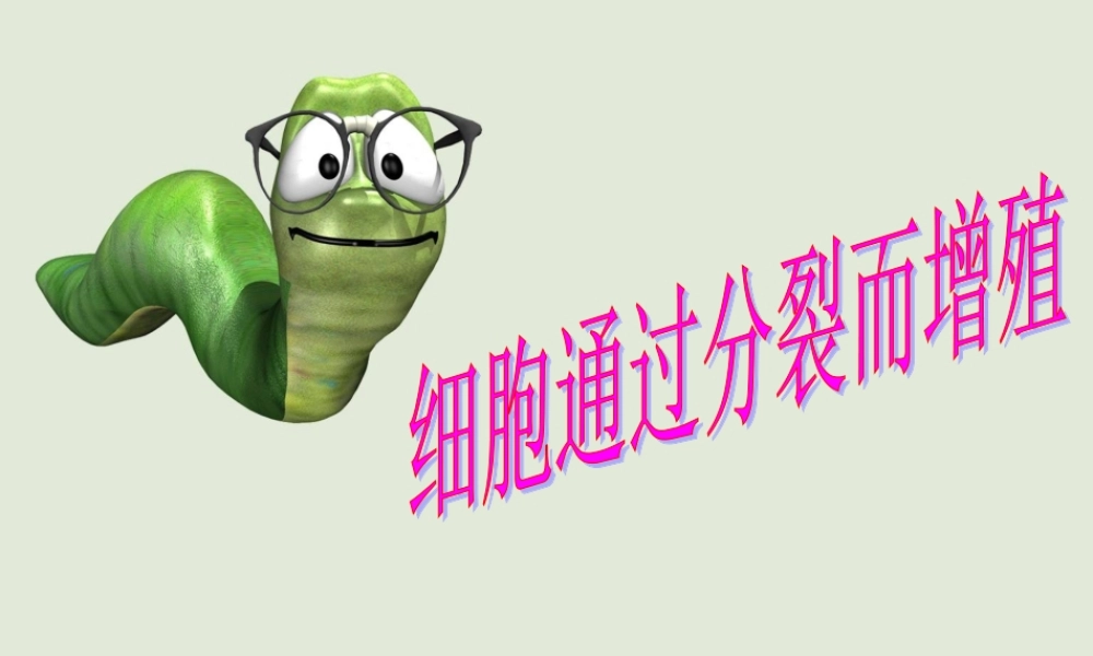细胞通过分裂而增殖