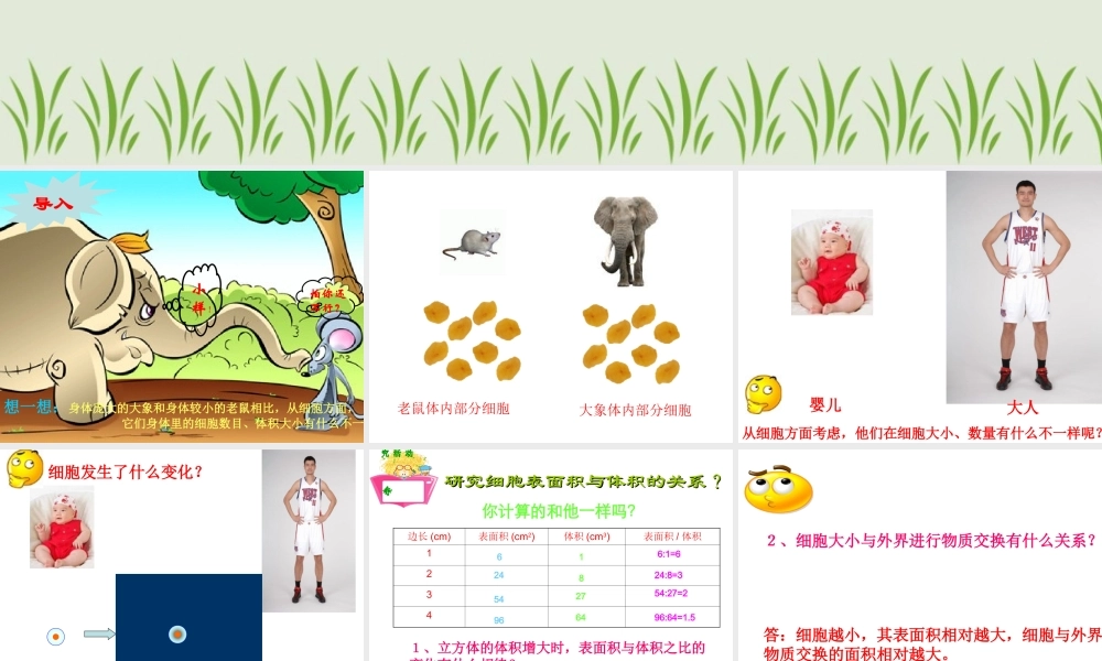 细胞通过分裂而增殖