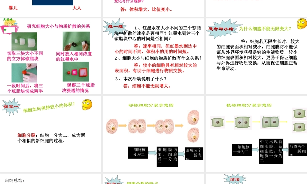 细胞通过分裂而增殖