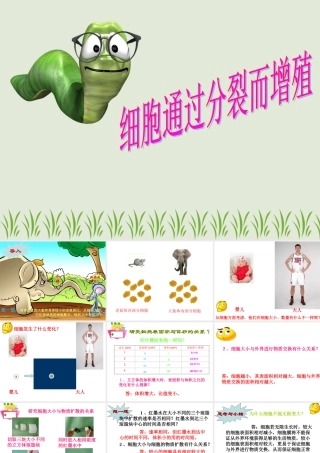 细胞通过分裂而增殖