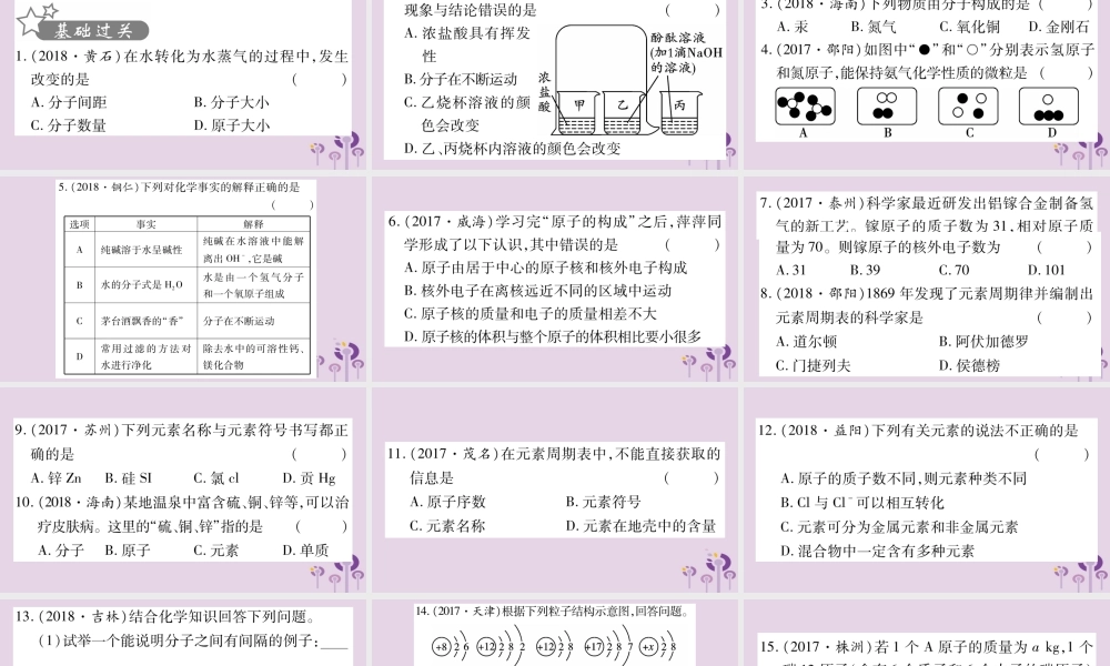 中考化学复习 第一部分 基础知识 第二单元 化学基本概念和原理 第9讲 物质的组成和结构(精练)课件