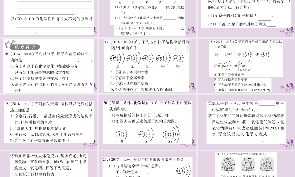中考化学复习 第一部分 基础知识 第二单元 化学基本概念和原理 第9讲 物质的组成和结构(精练)课件