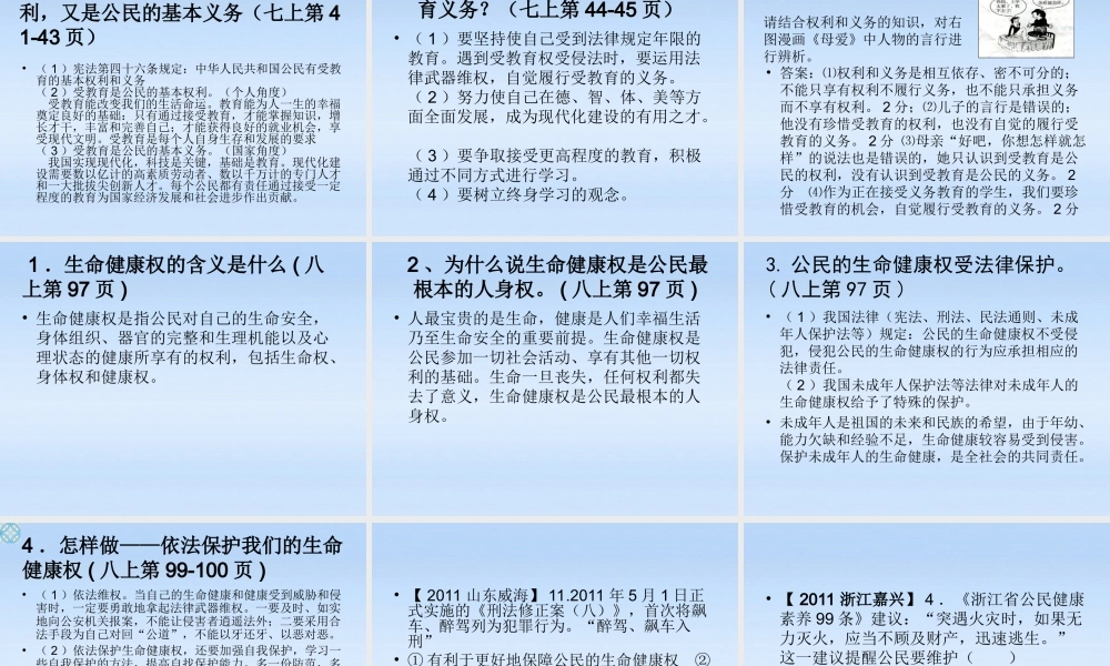 八年级政治下册 权利和义务复习课件 人教新课标版 课件
