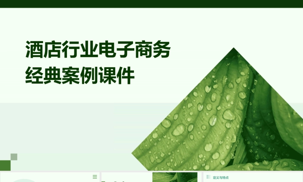 酒店行业电子商务经典案例课件