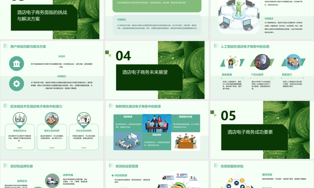 酒店行业电子商务经典案例课件