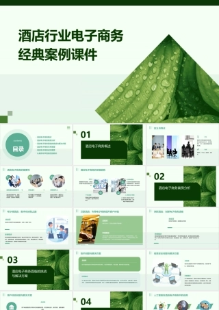 酒店行业电子商务经典案例课件