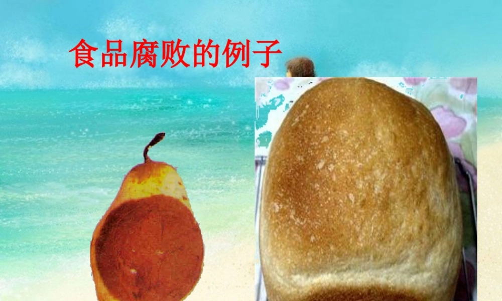 八年级生物下册 食品贮存课件 济南版 课件