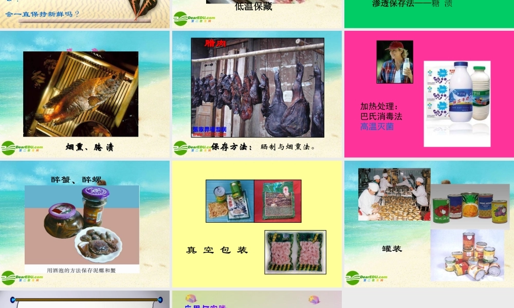 八年级生物下册 食品贮存课件 济南版 课件