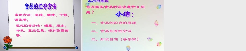 八年级生物下册 食品贮存课件 济南版 课件