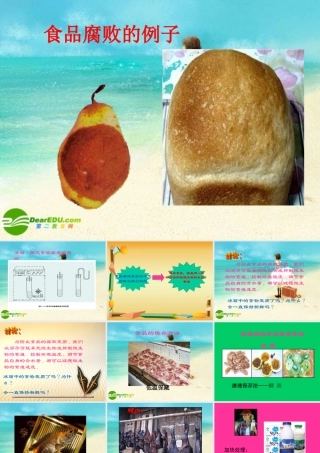 八年级生物下册 食品贮存课件 济南版 课件